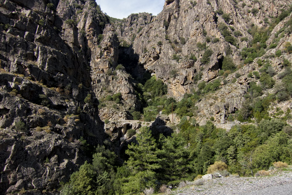 Sven Michalczak Wilderness